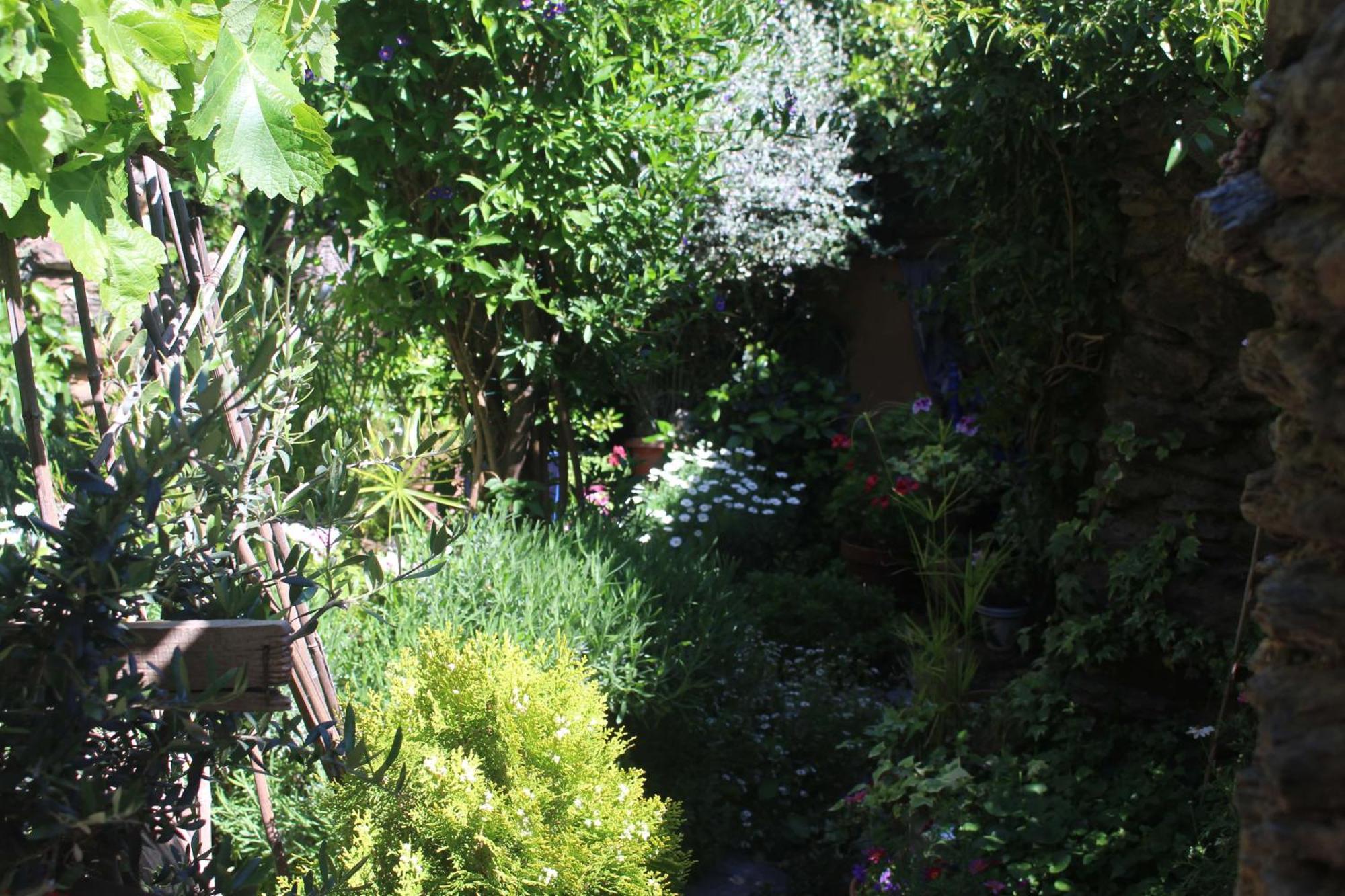 Casa Violeta * Atalbeitar