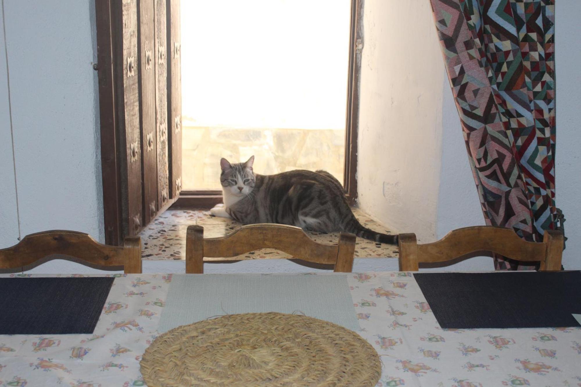Casa Violeta Holiday home Atalbeitar